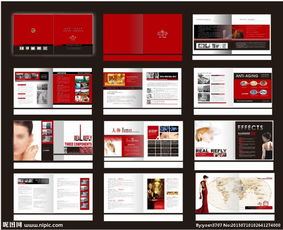 瑞妃麗的注意事項