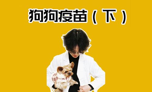 小狗扎完疫苗注意事項(xiàng)