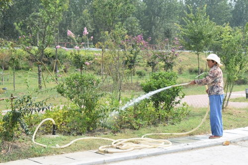 農(nóng)用水帶在灌溉過(guò)程中注意事項(xiàng)