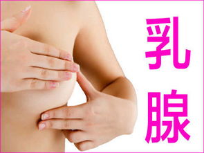 穿刺,胸部,注意事項