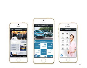 注意事項(xiàng),開(kāi)發(fā),手機(jī),web