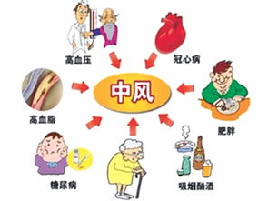 輕度中風(fēng)的注意事項(xiàng)