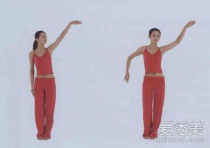 要領,注意事項,肚皮舞