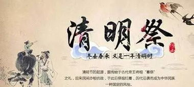 清明節(jié)活動的注意事項