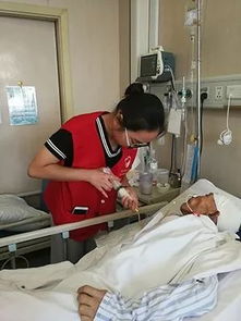 鼻飼,喂食,注意事項(xiàng)