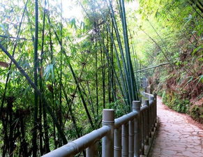 游玩,注意事項(xiàng),山竹