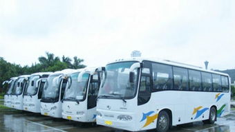 麗江跟團(tuán)旅游注意事項,老年人跟團(tuán)旅游注意事項,乘坐旅游大巴注意事項