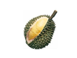 榴蓮的注意事項,吃榴蓮的注意事項,榴蓮運輸注意事項