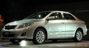 磨合期,要注意,花冠,事項(xiàng)