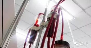 血透拔針注意事項