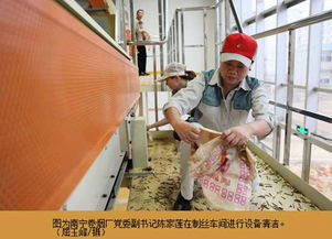 當班長的注意事項,班長交接班注意事項,開學班長注意事項