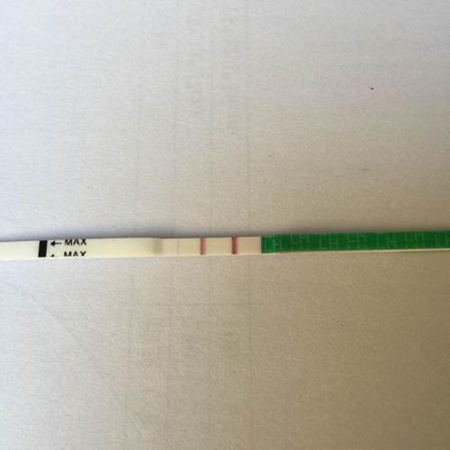 使用早早孕試紙注意事項,驗孕試紙使用注意事項,ph試紙使用注意事項