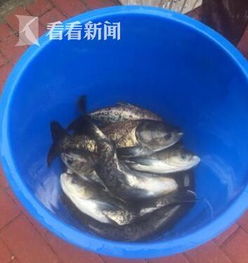 水庫(kù),注意事項(xiàng)