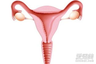 女性上環(huán)注意事項(xiàng),女人放節(jié)育環(huán)注意事項(xiàng),帶完節(jié)育環(huán)注意事項(xiàng)