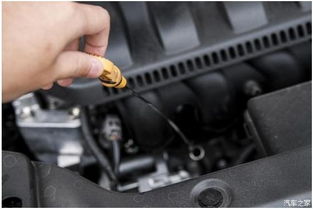 螺桿,機油,注意事項