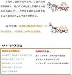 強(qiáng)心,藥物,注意事項(xiàng),觀察