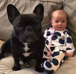 法斗順產(chǎn)注意事項