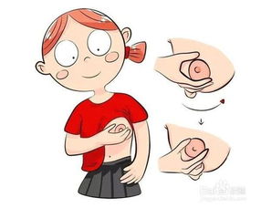 擠奶儲存要注意事項,擠奶的注意事項,擠奶的方法及注意事項