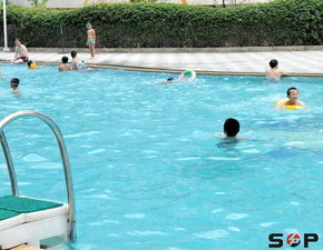 清潔灌腸的注意事項(xiàng),玻璃的清潔流程及注意事項(xiàng),冰箱清潔以及使用的注意事項(xiàng)