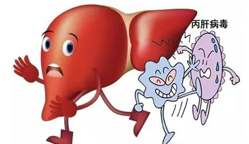 乙肝,注意事項,小三陽