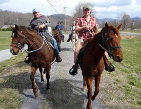戶外騎馬注意事項