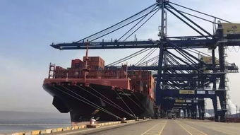 航行,船舶,注意事項(xiàng)