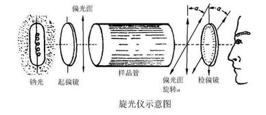 測定旋光度應(yīng)注意事項(xiàng)