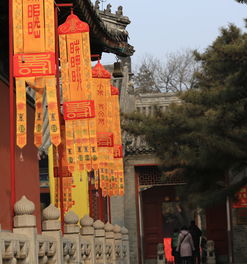 白云觀太歲符注意事項,拜太歲的注意事項,道觀拜太歲注意事項