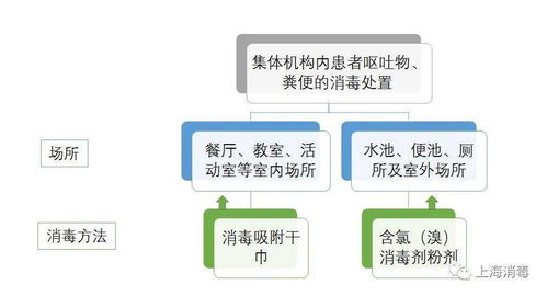 消毒,幼兒園,注意事項(xiàng),工作