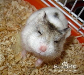 潮濕天氣安全注意事項(xiàng),潮濕天氣用電安全注意事項(xiàng),潮濕天氣電氣設(shè)備需注意事項(xiàng)