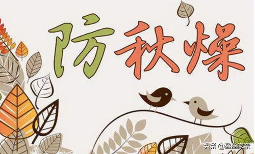 注意事項(xiàng),秋天,運(yùn)動(dòng)