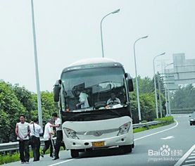 牛皮,二層,長途,注意事項