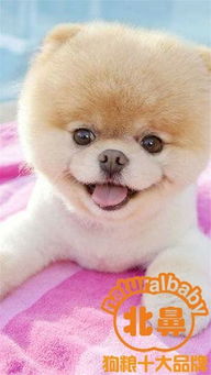 例假,母狗,注意事項(xiàng)