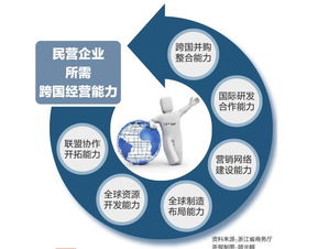 跨國(guó)公司,合資,注意事項(xiàng)