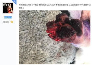 腳真菌感染注意事項