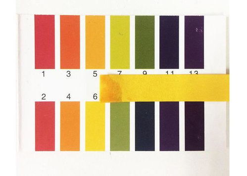 溶液,測(cè)定,注意事項(xiàng),ph