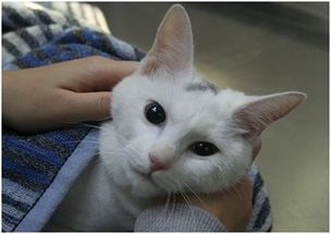 注意事項(xiàng)