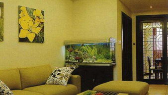 養(yǎng)魚,注意事項(xiàng),房間