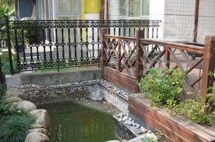 新挖魚塘養(yǎng)魚注意事項(xiàng),新開魚塘要注意事項(xiàng),新魚塘養(yǎng)魚注意事項(xiàng)