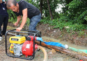 防洪度汛注意事項(xiàng),雨天防洪注意事項(xiàng)[最新],鐵路防洪注意事項(xiàng)