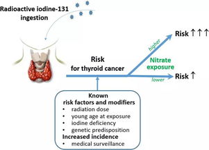 放射性碘注意事項