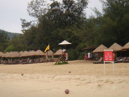 沙灘活動(dòng)注意事項(xiàng)