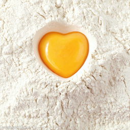 適應(yīng)癥,蛋白質(zhì),注意事項