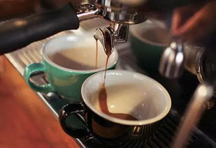 萃取,注意事項,咖啡