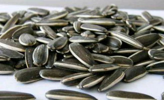 懷孕100天要注意事項(xiàng)