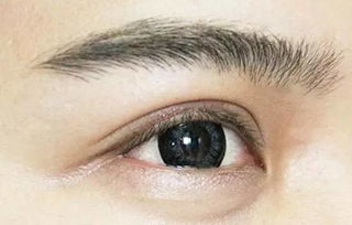 紋完眉注意事項,切完眉注意事項,紋完霧眉后注意事項