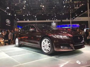 新車(chē),注意事項(xiàng),捷豹,xfl