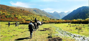 穿越,注意事項,七藏溝