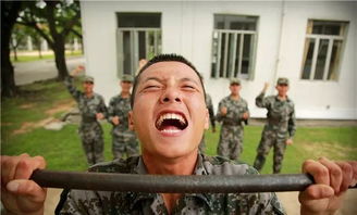 士官,應征,注意事項,部隊