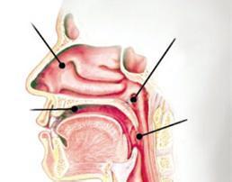 食道癌晚期飲食注意事項(xiàng)